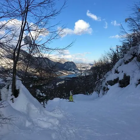 House With A View Bohinj
